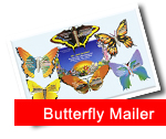 Butterfly M