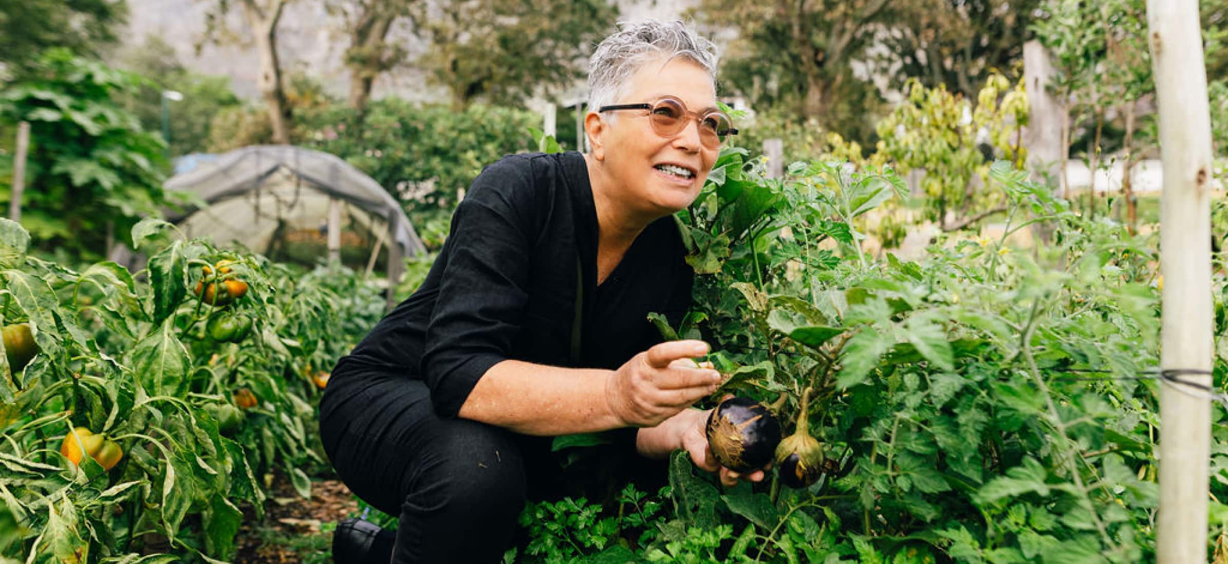Business owner Sheryl Ozinsky from Oranjezicht City Farm Market tends to her crops.